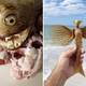 Illustration for article titled Creative Taxidermy Fuels Your Cryptozoological Nightmares